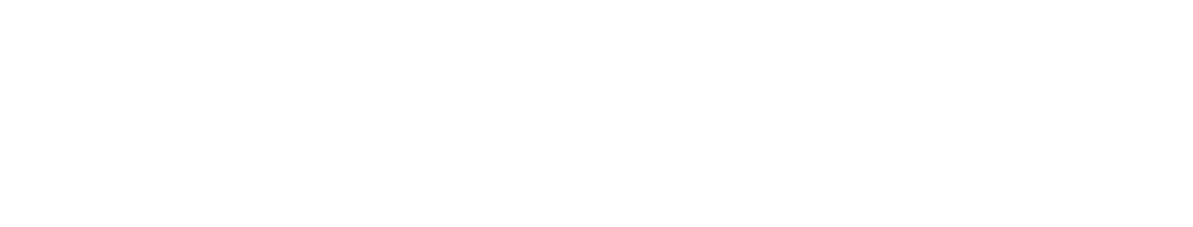 MOLMEX GROUP